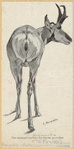 Image ID 821928