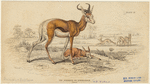 Image ID 821929