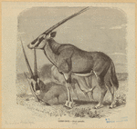 Image ID 821932