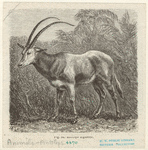 Image ID 821935