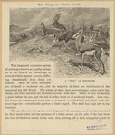 Image ID 821936