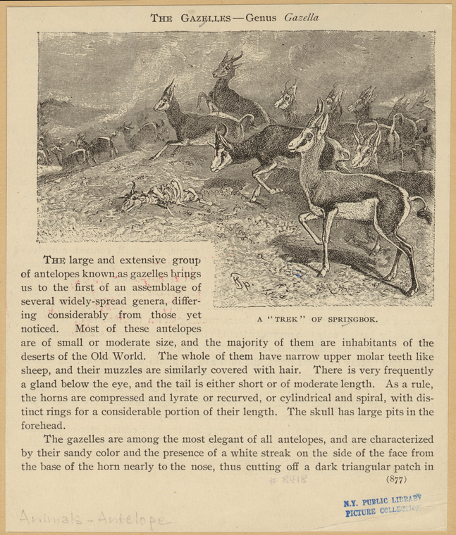 Image ID 821936
