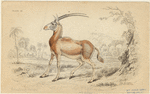 Image ID 821939