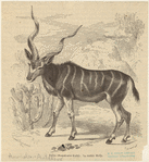 Image ID 821940