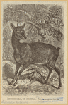 Image ID 821946