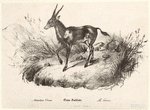 Image ID 821948