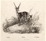 Image ID 821949