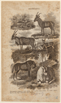 Image ID 821956