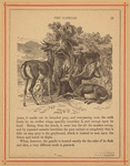 Image ID 821957