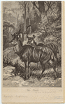 Image ID 821958