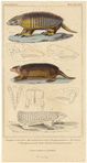 Image ID 821961