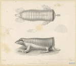 Image ID 821962