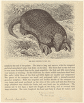 Image ID 821963