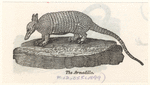 Image ID 821971