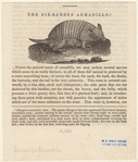Image ID 821975
