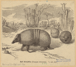 Image ID 821976