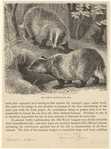 Image ID 821982