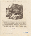 Image ID 821983