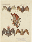 Image ID 821984