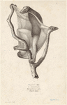 Image ID 821985