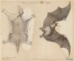 Image ID 821986