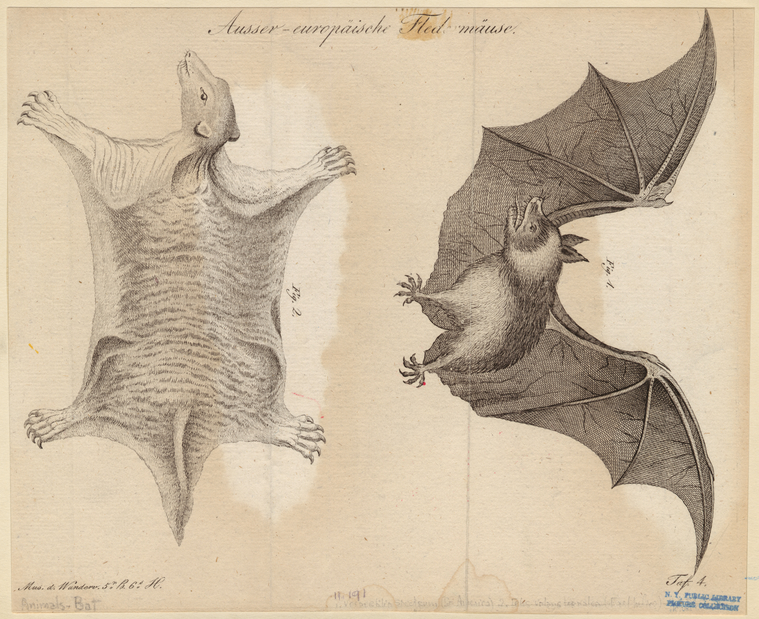 Image ID 821986
