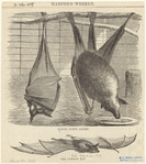 Image ID 821987