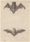 Image ID 821988