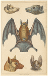 Image ID 821989
