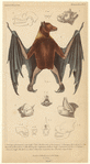 Image ID 821991