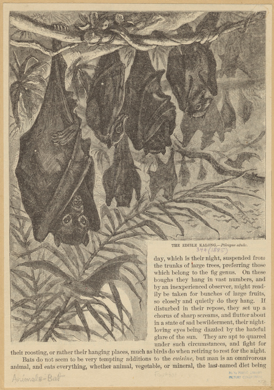 Image ID 821993
