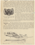 Image ID 821994
