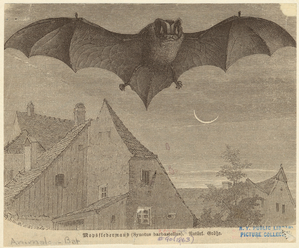 Image ID 821996