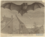 Image ID 821996
