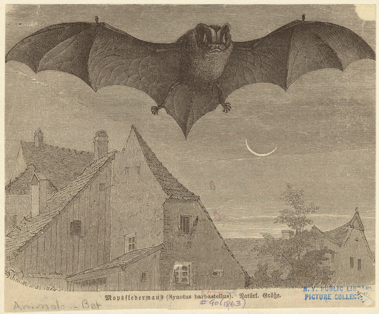 Image ID 821996
