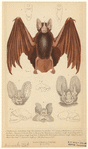 Image ID 821998