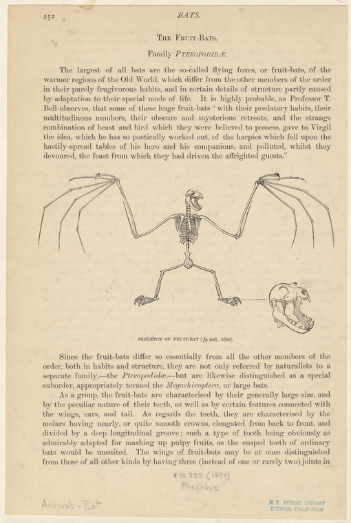 Image ID 821999
