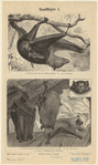 Image ID 822000