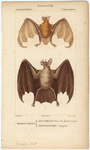 Image ID 822004