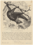 Image ID 822005