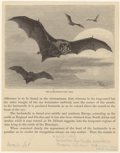 Image ID 822006