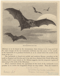Image ID 822006