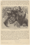 Image ID 822007