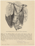Image ID 822009