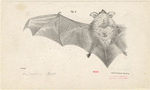 Image ID 822012