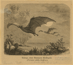 Image ID 822022