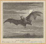 Image ID 822023