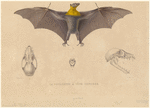 Image ID 822026