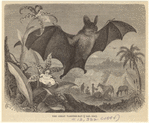 Image ID 822028