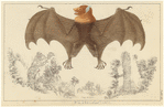 Image ID 822030